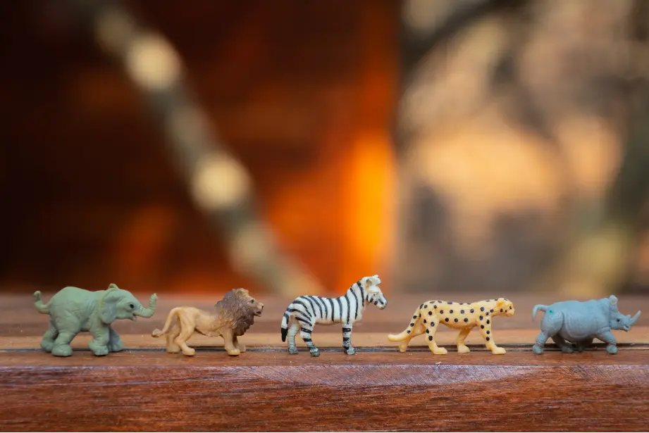 Toy animals in a row — elephant, lion, zebra, cheetah, and rhino — showing variation and differences
