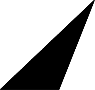 Black scalene triangle outline showing variation in size and sides